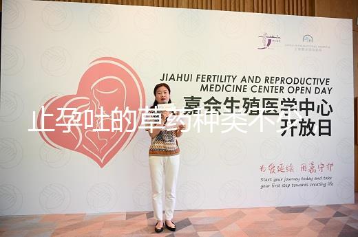 止孕吐的草藥種類不少，胡椒草、半夏…幫你輕松渡過孕早期