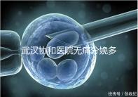 武漢協(xié)和醫(yī)院無痛分娩多少錢答案在這,住院一天費(fèi)用不高