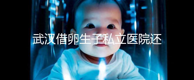 武漢借卵生子私立醫院還得看這幾家，協和、同濟醫院上榜