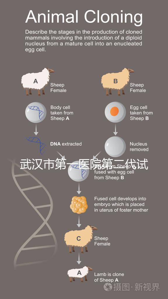 武漢市第一醫(yī)院第二代試管怎么樣？2024年助孕成功率數(shù)據(jù)公布