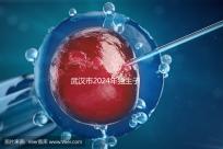 武漢市2024年獨生子女補貼政策已經實施，領取流程更加規范