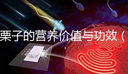 栗子的營養(yǎng)價值與功效(水果栗子的營養(yǎng)價值與功效)