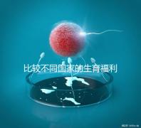 比較不同國(guó)家的生育福利|生孩子還能拿到錢嗎?