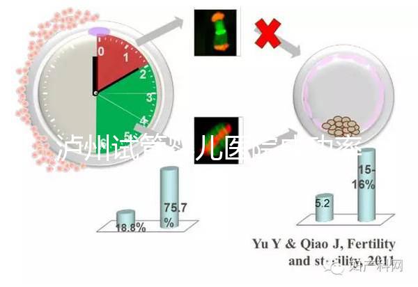 瀘州試管嬰兒醫院成功率排名，西南醫科大學附屬醫院上榜
