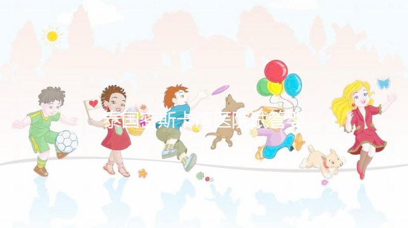 泰國密斯卡灣醫(yī)院試管嬰兒價格指南附項目及費用明細(xì)！