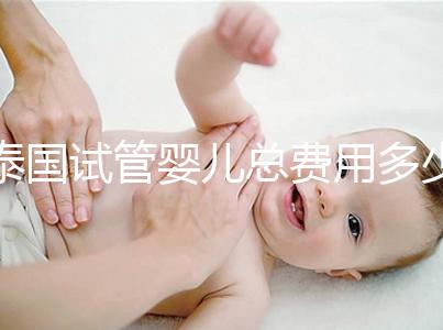 泰國試管嬰兒總費(fèi)用多少(泰國試管嬰兒總費(fèi)用多少錢)