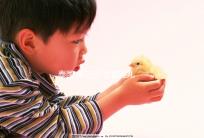 泰國 第三代 試管嬰兒(泰國 第三代 試管嬰兒費(fèi)用)