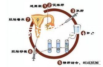 浙江27家試管嬰兒醫(yī)院成功率排名公開,邵逸夫醫(yī)院位居前十