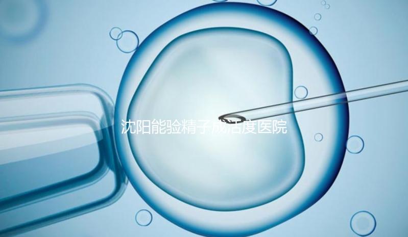 沈陽能驗(yàn)精子成活度醫(yī)院吐血整理，2024年哪個好，費(fèi)用都有