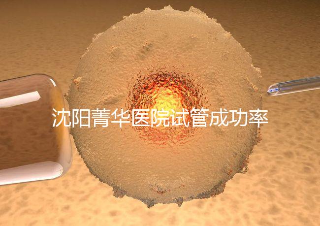 沈陽菁華醫院試管成功率高嗎？教你4招提升胚胎著床機會