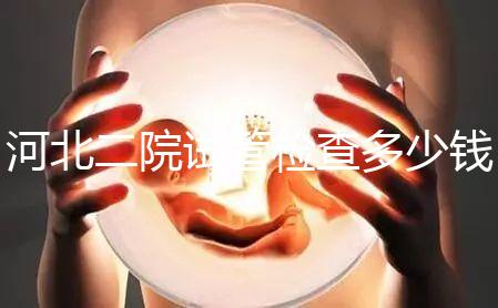 河北二院試管檢查多少錢公布，項(xiàng)目不同價(jià)格自然有所差異
