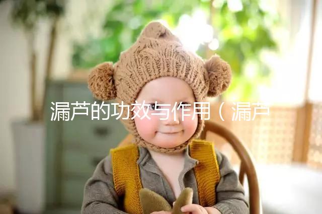 漏蘆的功效與作用(漏蘆的毒性有多強(qiáng))