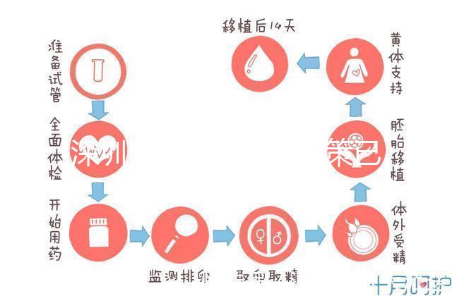 深圳最新獨生子女政策已出爐，羅湖、南山區補貼金均有提高