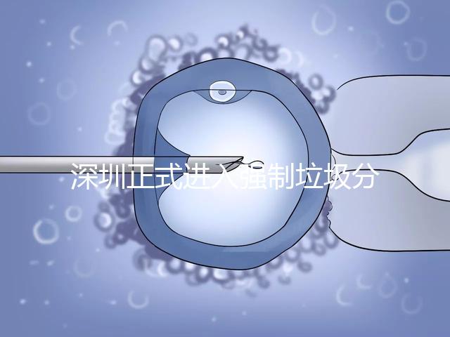 深圳正式進(jìn)入強制垃圾分類時代,不分類最高被罰50萬!