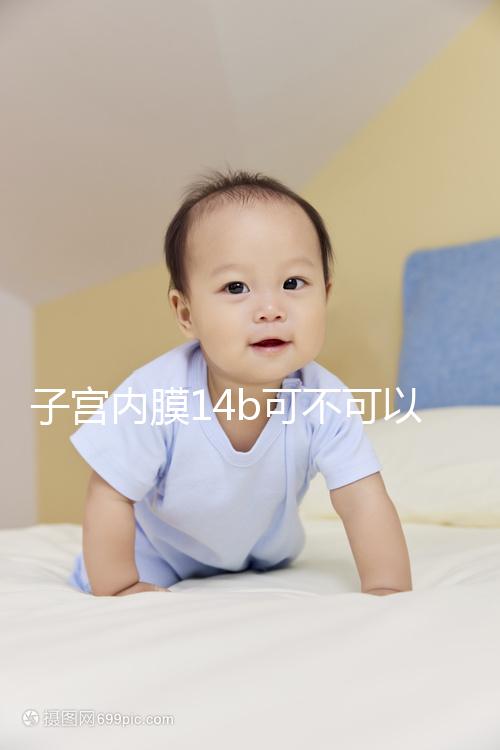 子宮內(nèi)膜14b可不可以移植囊胚看情況，能否成功只看三點(diǎn)