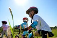 孕婦吃燕窩6大功效揭秘，這3大做法值得你一試