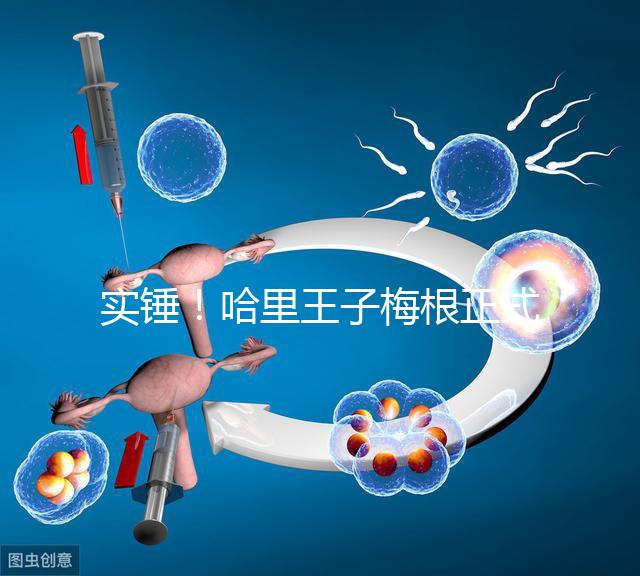 實(shí)錘!哈里王子梅根正式公布寶寶名字:阿爾奇·哈里森