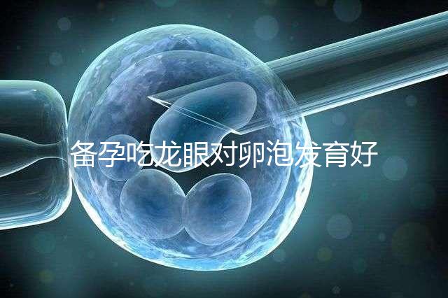 備孕吃龍眼對卵泡發育好處多,前提:發芽禁止食用