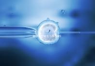 備孕中藥調(diào)理不孕不育18種藥材整理，這些助孕偏方效果絕佳