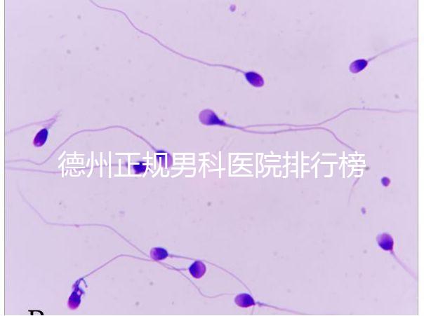 德州正規(guī)男科醫(yī)院排行榜分享！2024哪個(gè)最好一看便知