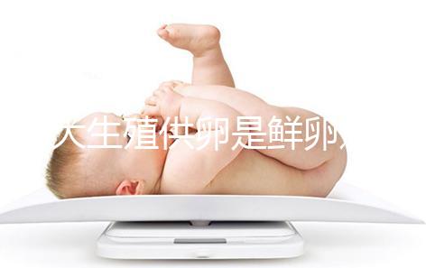 山大生殖供卵是鮮卵還是凍卵分情況，別還不清楚質量如何