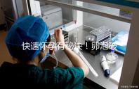 快速懷孕有秘訣！卵泡破裂后多久同房是關鍵