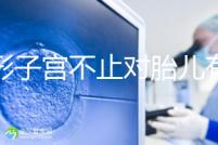 弓形子宮不止對(duì)胎兒有危害!這4種影響都不能忽視