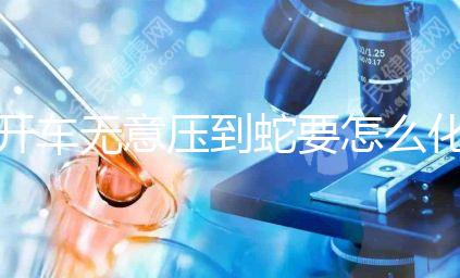 開車無意壓到蛇要怎么化解進(jìn)來瞧,要不要報(bào)警一目了然