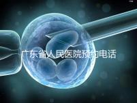 廣東省人民醫(yī)院預約電話（廣東省人民醫(yī)院預約電話是多少）