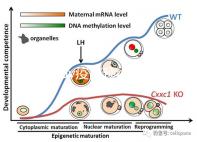 廣州hpv疫苗預約流程攻略，詳細地址加電話收好不謝