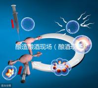 釀造釀酒現(xiàn)場(釀酒現(xiàn)場圖片)