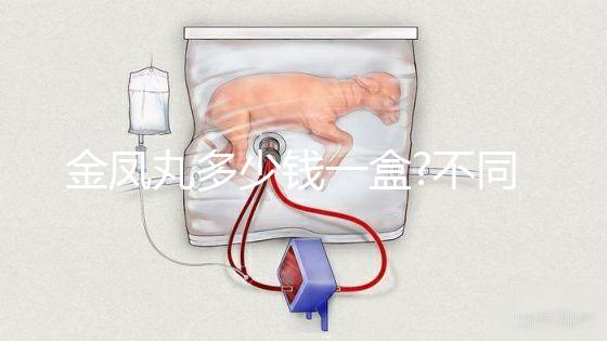 金鳳丸多少錢(qián)一盒?不同品牌金鳳丸價(jià)格對(duì)比