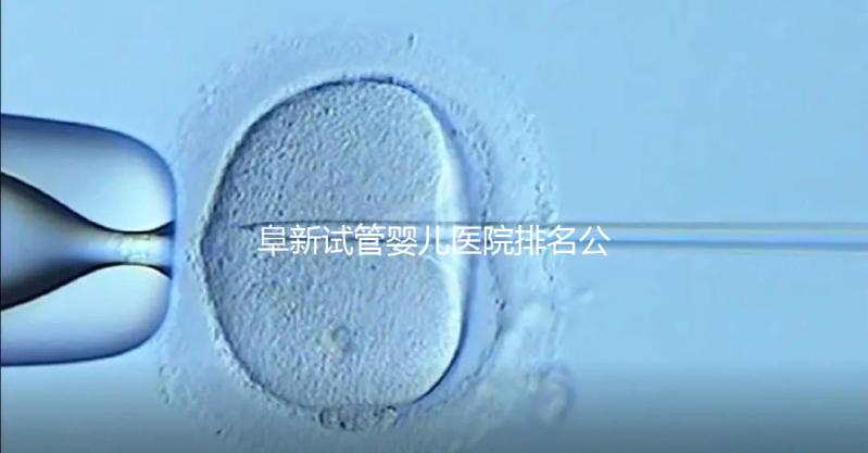 阜新試管嬰兒醫(yī)院排名公開(kāi),附2024年助孕費(fèi)明細(xì)
