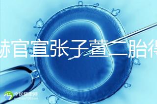 陳赫官宣張子萱二胎得女,首曬全家福長相酷似媽媽