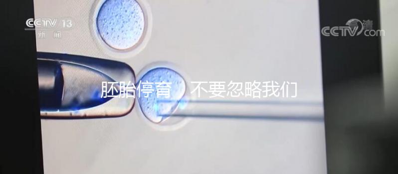 胚胎停育，不要忽略我們身邊的“隱形殺手”