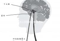 蘇北人民醫院試管成功率首次公開！3大案例分享助孕體驗