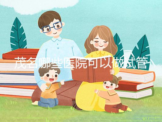 茂名哪些醫院可以做試管嬰兒？擔心成功率低可以選擇這里