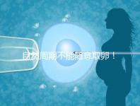 自然周期不能隨意取卵!滿足3點(diǎn)要求才能順利進(jìn)行