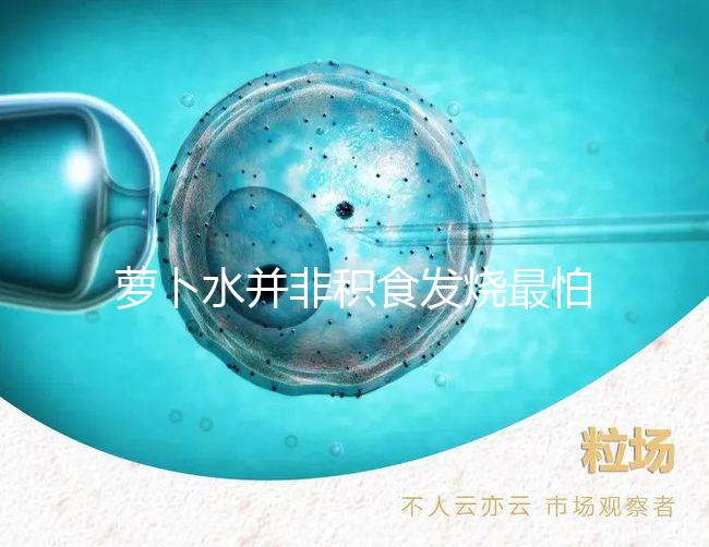 蘿卜水并非積食發(fā)燒最怕的1種水,天天煮這些喝胃口倍棒