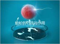 蛤蚧的功效與作用