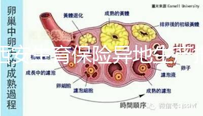 西安生育保險異地生產報銷流程及程序公開，不懂收藏