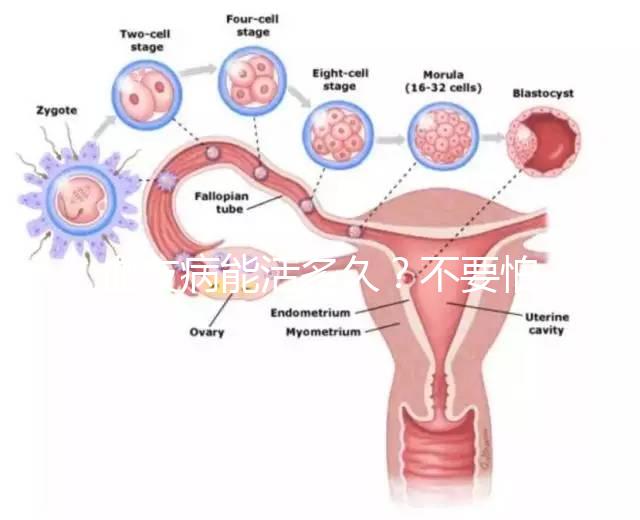 血友病能活多久？不要怕!注意這些同常人無異