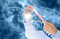 血清前白蛋白是什么?預(yù)示肝功能是否損害的早期指標(biāo)