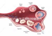 補辦出生證明別找錯地方，備齊資料到這些部門辦理不白跑！