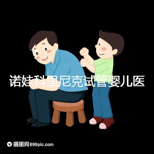 諾娃科里尼克試管嬰兒醫院費用