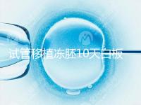 試管移植凍胚10天白板咋辦?懷孕還有希望別擔(dān)心