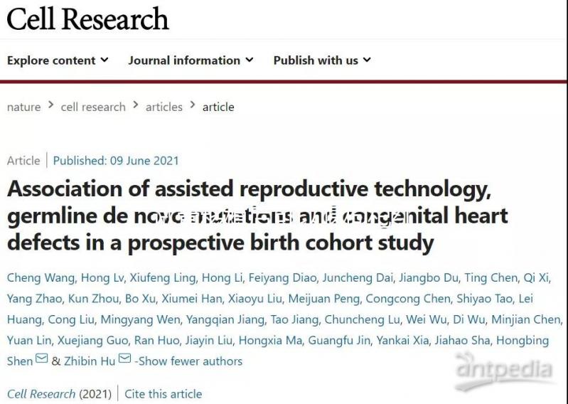 試管移植后可以喝枸杞紅棗湯嗎？能不能提高移植成功率？