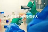 試管移植45天孕囊多大正常？孕囊胎芽孕周對照表別錯過