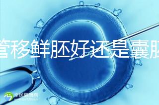 試管移鮮胚好還是囊胚好（3天鮮胚和5天囊胚的區別）