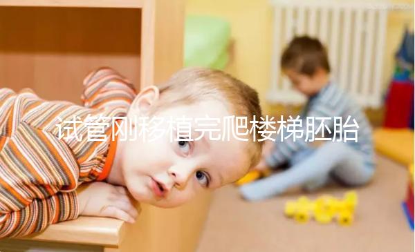 試管剛移植完爬樓梯胚胎會掉出來是謠言!這3大影響了解下